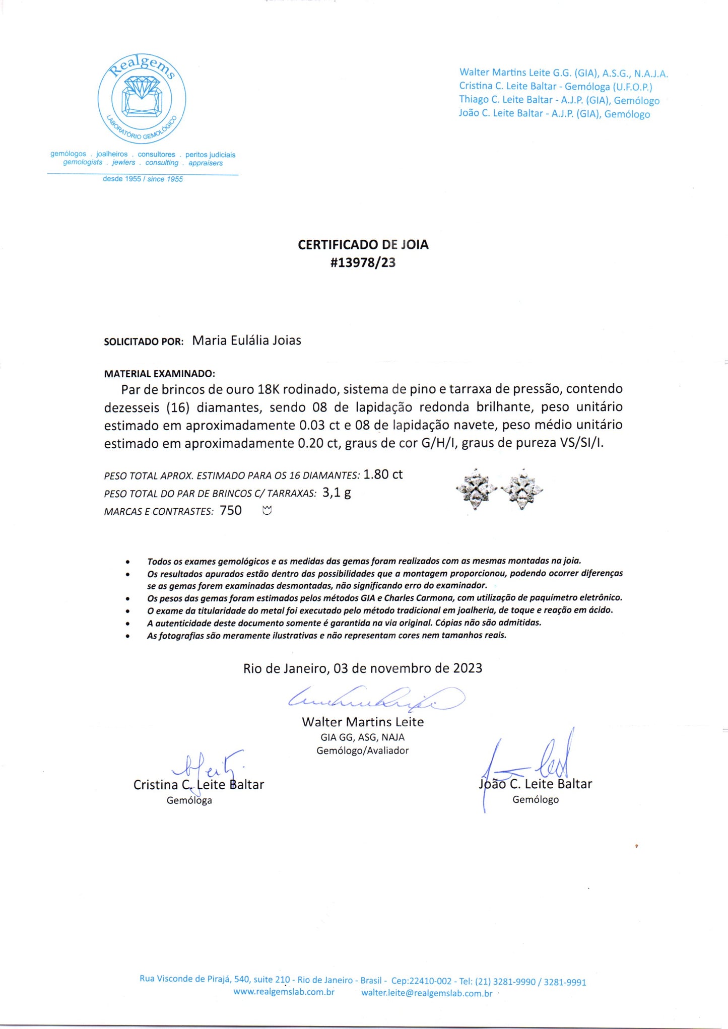 Brinco Flor G