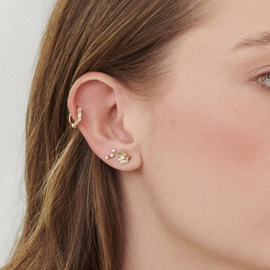 Argola Sandrin | Brilhantes e Ouro Champanhe